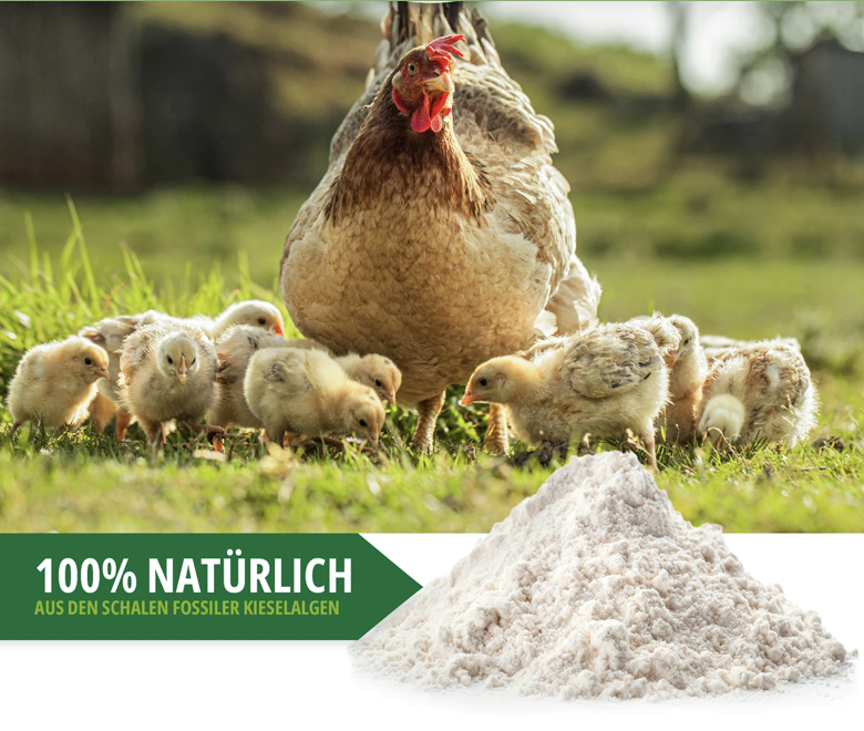 Screenshot 2026-02-05 at 14.43.26